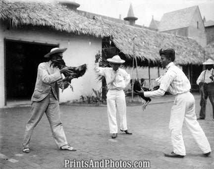 Columbian Exposition Cock-fight  5167