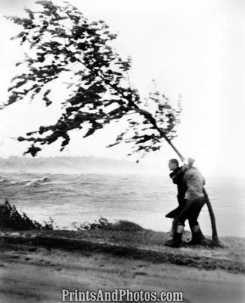 Couple Hangs On Tree In Hurricane  5294