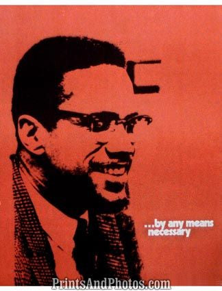 Malcom X By Any Means  5316