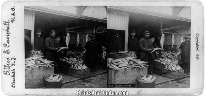 Elizabeth NJ Fish Market 5463