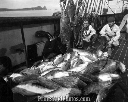 Fishing Boat Cod & Halibut  5474 Fishing Boat Cod & Halibut  5474