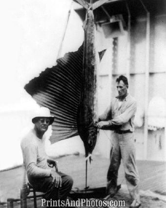 Franklin D Roosevelt Fish 5486