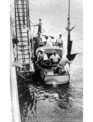 Franklin D Roosevelt Fishing 5487