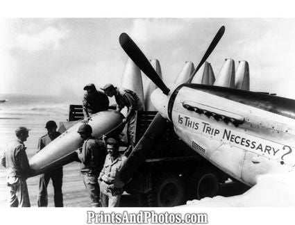 WWII Iwo Jima Mustang  5604