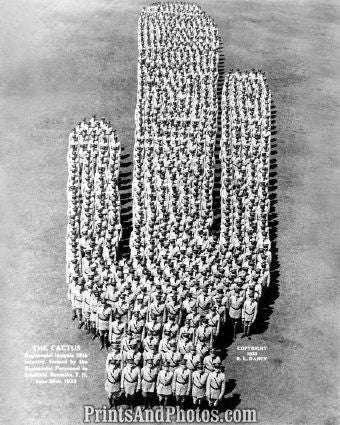 Cactus 35th Infantry Insignia Print 5687