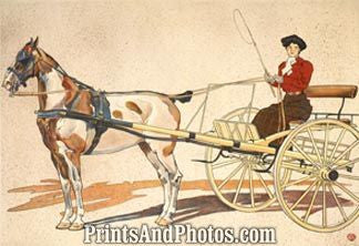 Kentucky Breaking Horse Cart Print 5944 Kentucky Breaking Horse Cart Print 5944