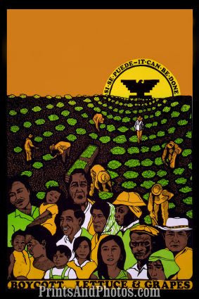 Boycott Lettuce & Grapes  5989 Boycott Lettuce & Grapes  5989