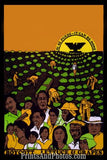 Boycott Lettuce & Grapes  5989