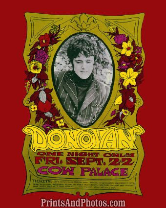 Donovan 60s Concert  6032