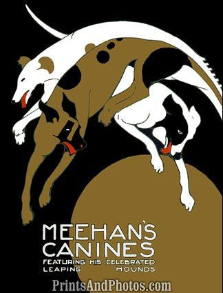 Meehan's Canines Show 6157
