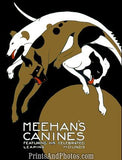 Meehan's Canines Show  6157