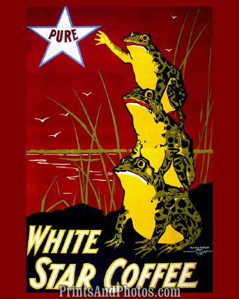 Frogs White Star Coffee  6216
