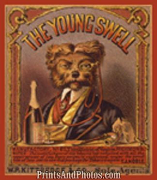 Young Swell Tobacco Ad Print 6287