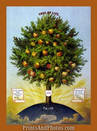 Tree of Life  Print 6296 Tree of Life  Print 6296