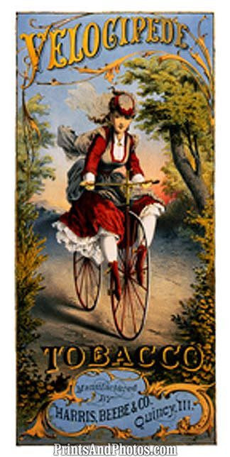 Velocipede Tobacco Ad 6307 Velocipede Tobacco Ad 6307