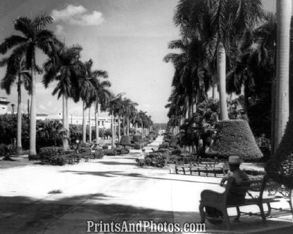President Ave Havana Cuba 1950 6454