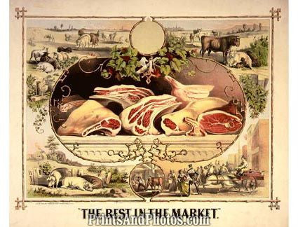 Food Meat Market 6479