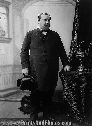 President Grover Cleveland 6678