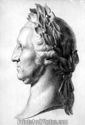 George Washington Bust 6699