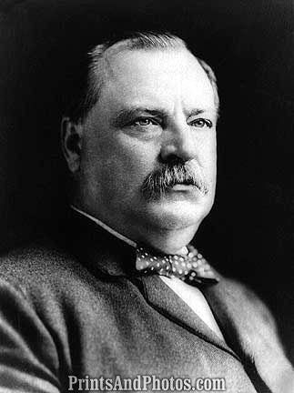 Grover Cleveland Portrait 6701