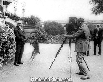 Harding & Dog Laddie 6748