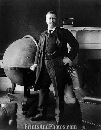 Teddy Roosevelt Portrait 6753