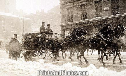 Taft & Roosevelt Carraige  6764