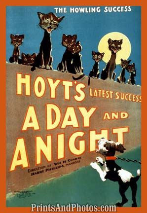 Hoyts Latest Success Stage Poster Hoyts Latest Success Stage Poster