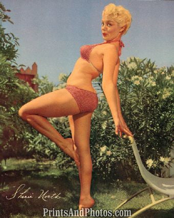 Sheri North Pinup  7143