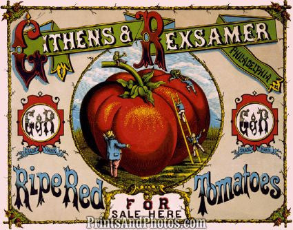 Tomato Ad Githens & Rexsamer  7163 Tomato Ad Githens & Rexsamer  7163