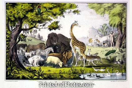 Adam Naming Creatures Art Litho  7178