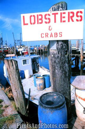 Lobsters, Crabs Point Judith 7250