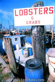 Lobsters, Crabs Point Judith  7250