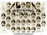 31 ST LOUIS CARDINALS Team  1196