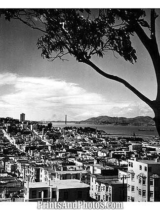 San Francisco showing Golden Gate  1757