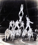 Ringling Circus Loyal-Repensky  18290