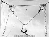 Ringling Circus Trapeze Artist  1832