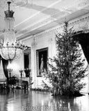 TRUMAN White House Christmas Tree  18860