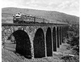 Erie LTD TRAIN Starrucca Viaduct 19300