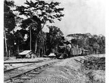 Madeira-Mamore Railroad Brazil 1119530