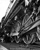 Niagara Steam NY Central TRAIN 19630
