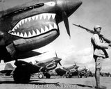 WWII  Flying Tiger Fighter Plane 2010