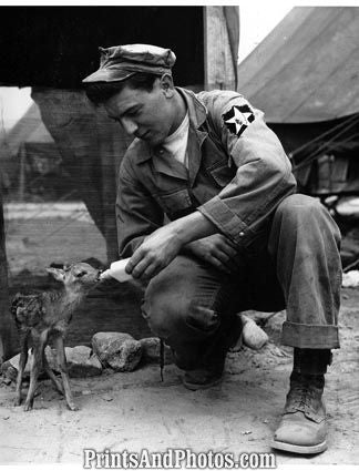 US ARMY Soldier and Deer Korea  2348