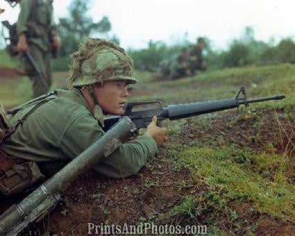 Vietnam Op Masher PFC David Reese  2461