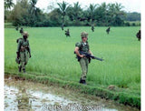 Vietnam Op Masher Ten Soldiers  2468