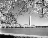 Washington Memorial  Washington DC 2738