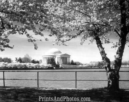 Jefferson Memorial Washington DC  2848