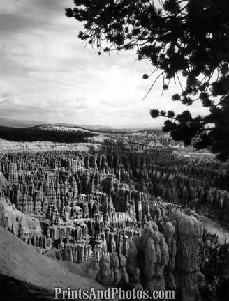 BRYCE CANYON Natl Park  3042