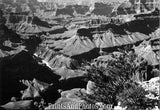 GRAND CANYON Natl Park Colorado River 3062