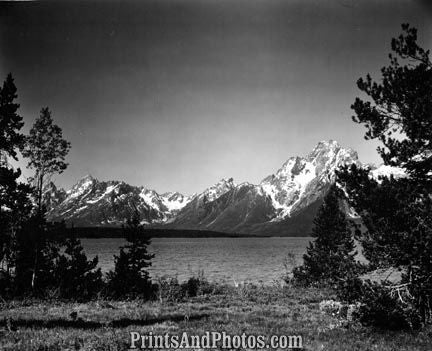 GRAND TETONS Park Jackson Lake  3068